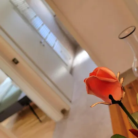 De La Chapelle-le Houx Appartement *